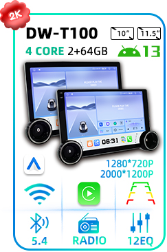 DW-T100